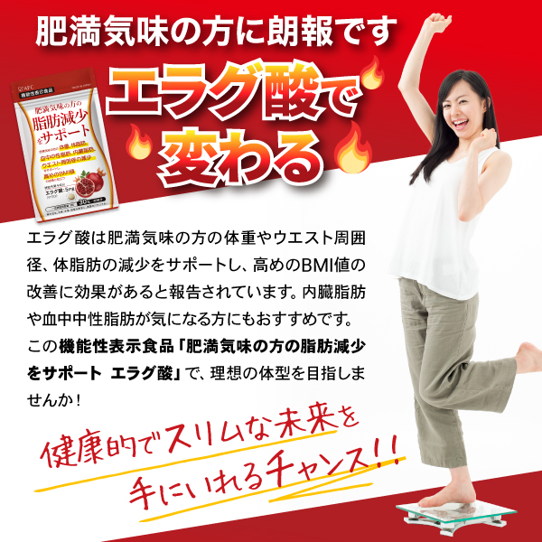 AFC（エーエフシー） エラグ酸 サプリ 30日分 肥満気味の方の 脂肪減少