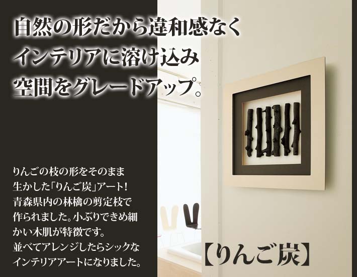 炭アート/パネル/りんご炭【IN3034】W75XH25XD9.6cm : ハイベル