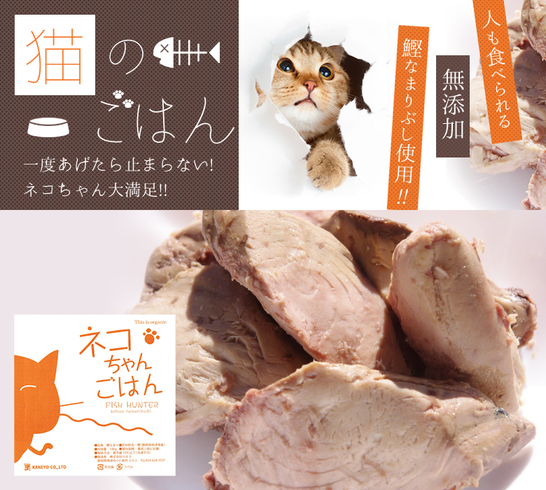 キャットフード 猫 子猫 シニア猫 #ねこ様用 60g 10袋 スモークカツオ