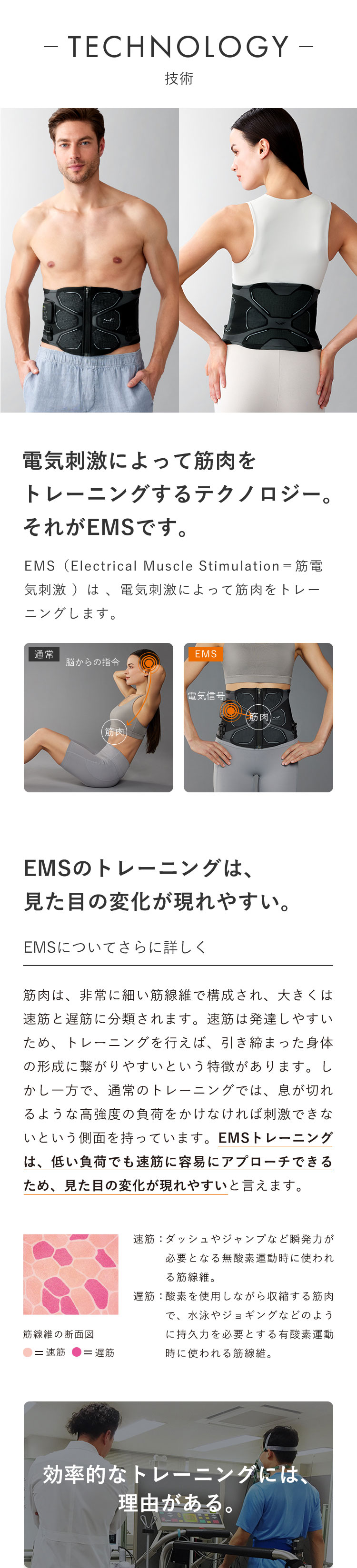 SIXPAD（シックスパッド） ○最新モデル○ コアベルト 2 専用