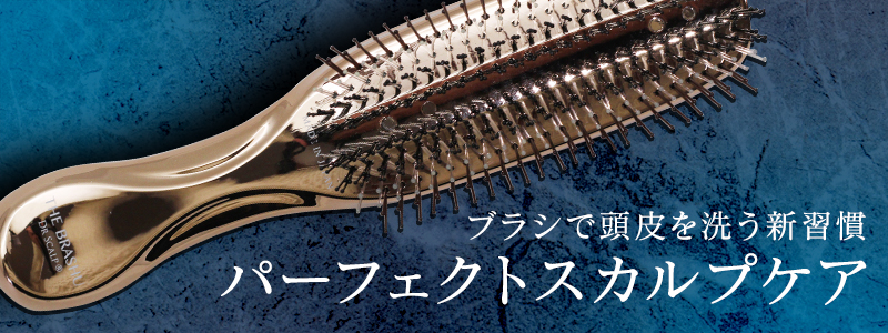 DR ドクタースカルプ ザ・ブラシュ|DR SCALP サロン専売 美容室専売