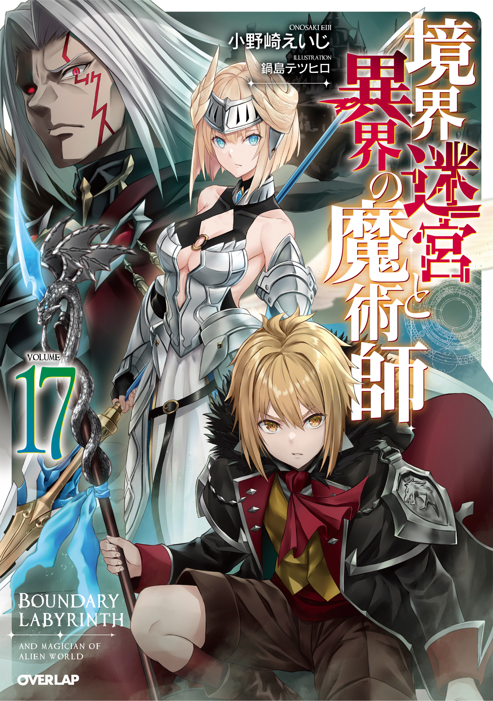 境界迷宮と異界の魔術師 17 /小野崎えいじ 鍋島テツヒロ:HonyaClub