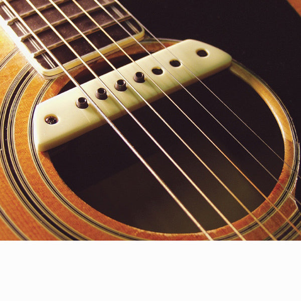 LR Baggs M1 - Shoreline Music