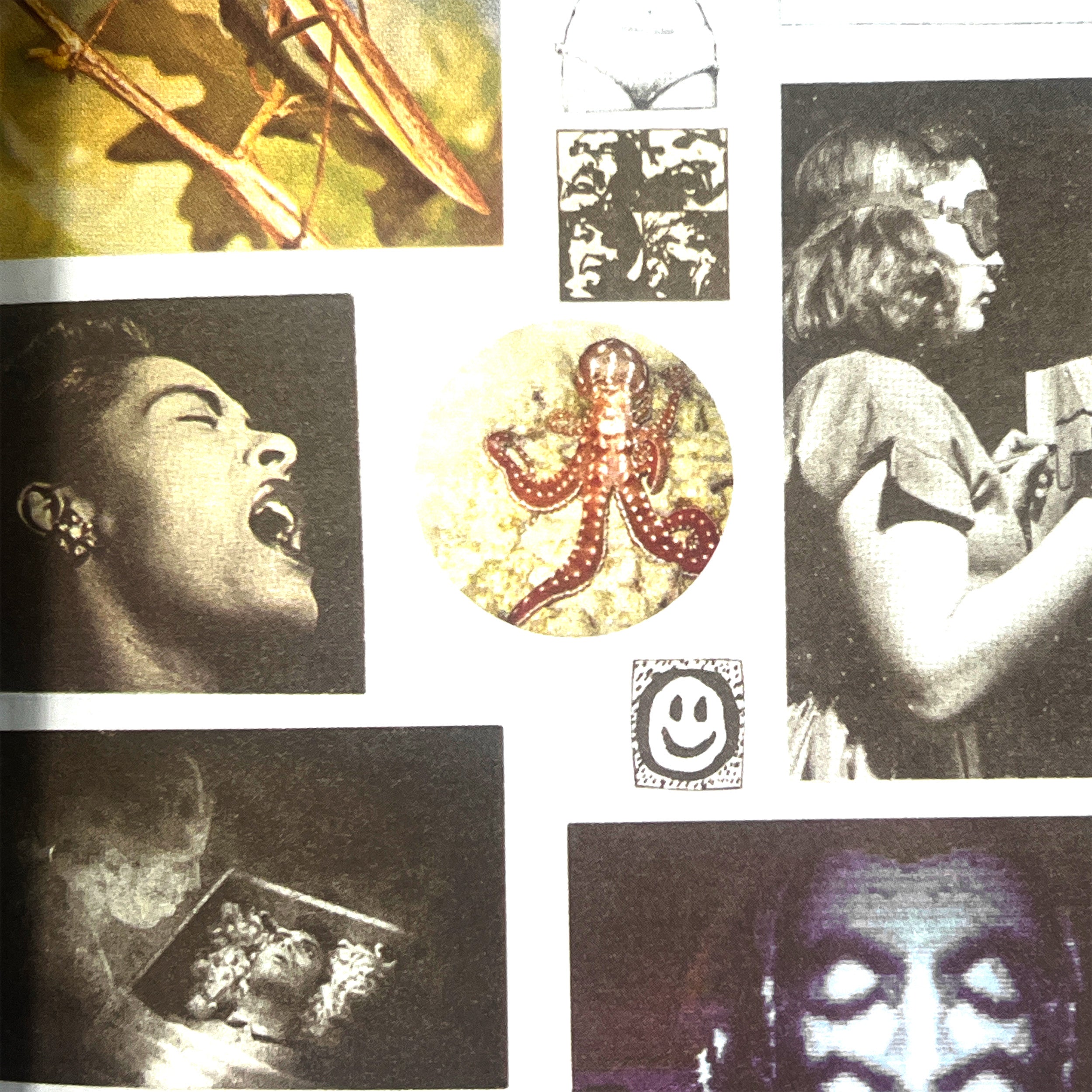 DAVE - FUCK THIS LIFE – Shelter Design Cultivation Project