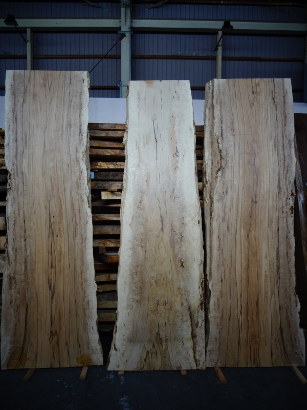 樫 一枚板 - 新発田屋 木材倉庫