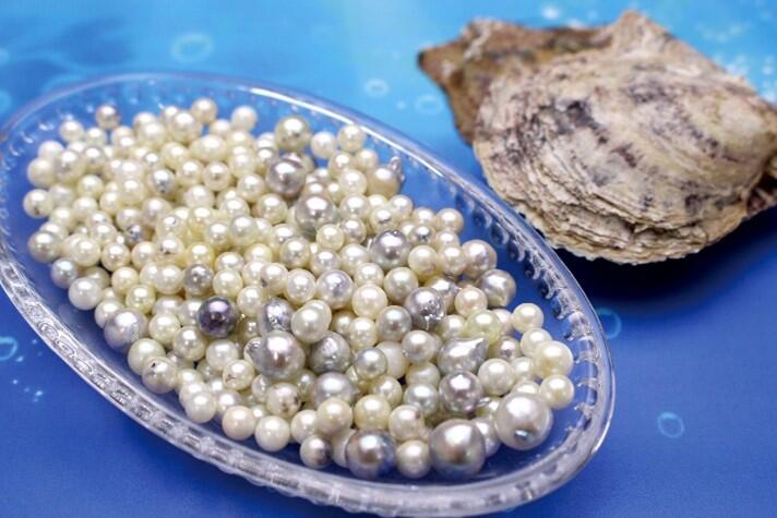 世界にひとつだけの真珠を ワークショップ『真珠取り出し体験