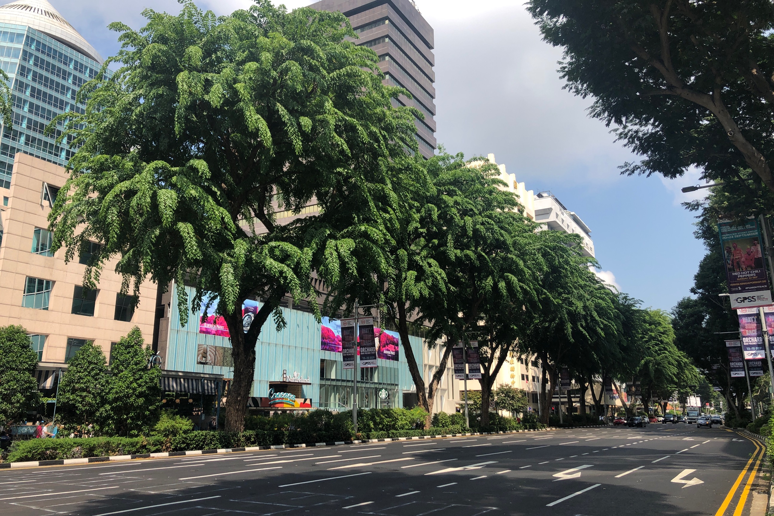 神からのギフト | 掌ひとつの革命