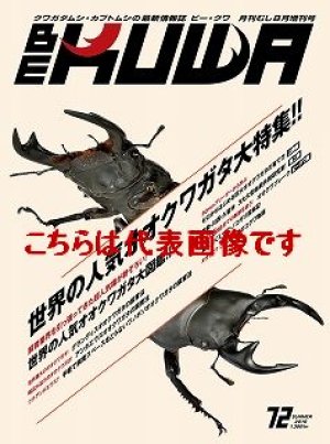 むし社 BE・KUWA（ビークワ） バックナンバー