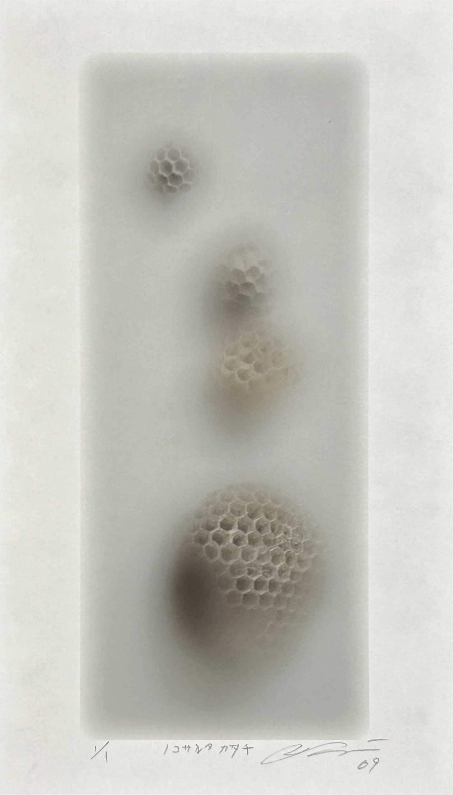 幻想のパランプセスト ～架空の美術庭園～ vol. 7 藤浪理恵子 – 不忍