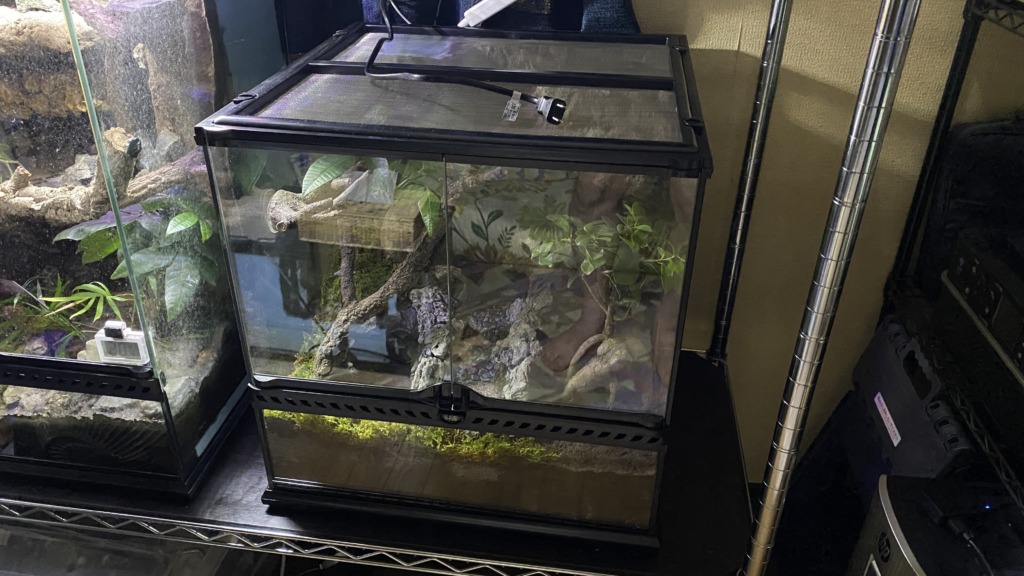 グラステラリウム4545を稼働したものの・・・ | しのぺーじ