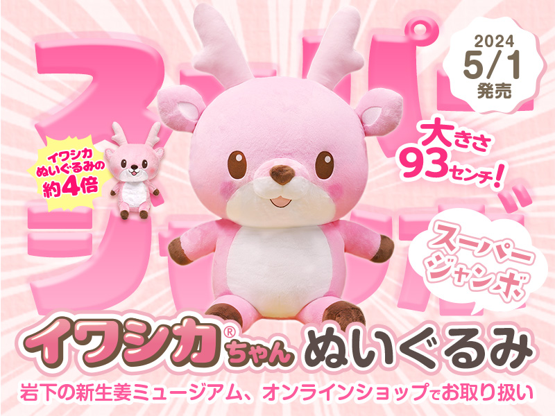 かわいらしさ特大！『イワシカちゃんぬいぐるみスーパージャンボ』を