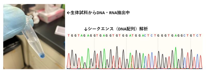 金子 一郎 | かんなび【兵庫県立大学 環境人間学部】