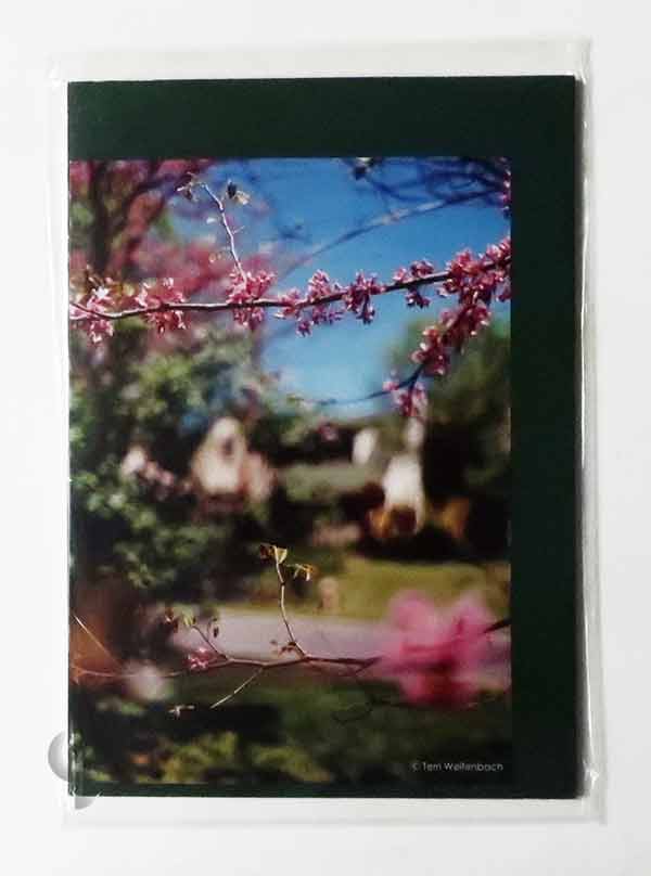 Certain Days | Terri Weifenbach -SO BOOKS