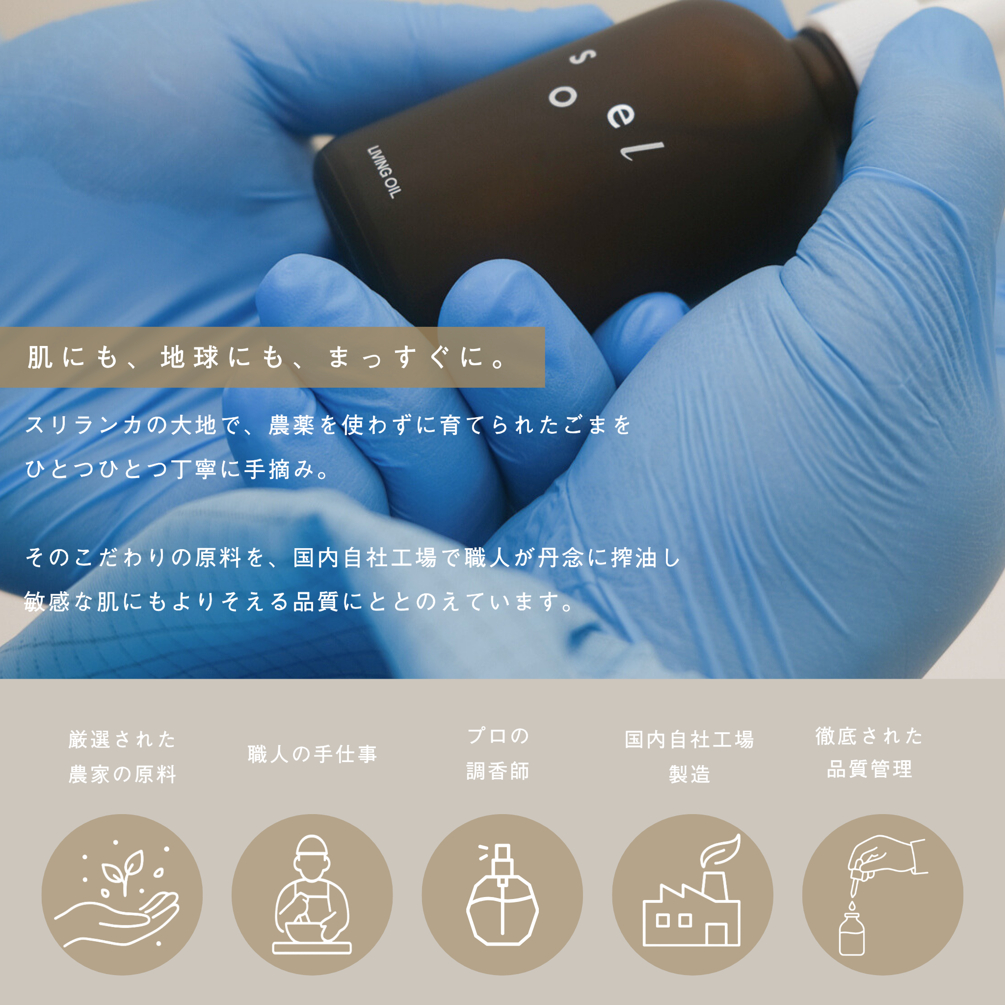 Cosme Kitchen受賞】LIVING OIL オーガニックセサミオイル 60mL | USDA