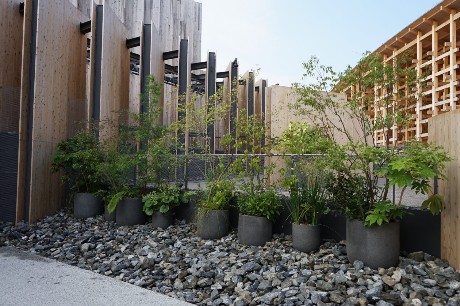 EXPO 2025 大阪・関西万博 日本館 | SOLSO architectual plant＆farm