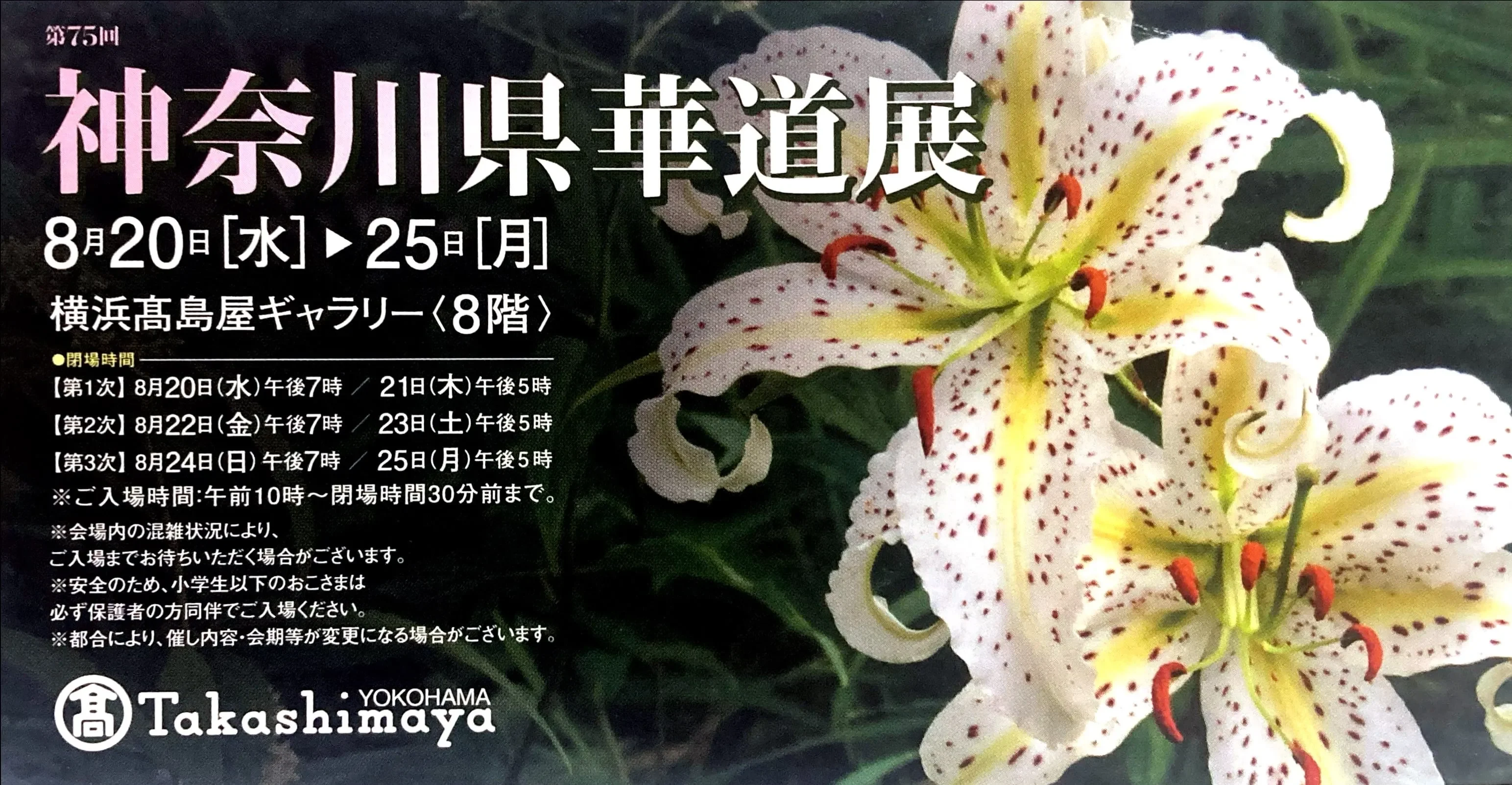 2025年8月20日～25日】第75回神奈川県華道展のご案内（横浜髙島屋