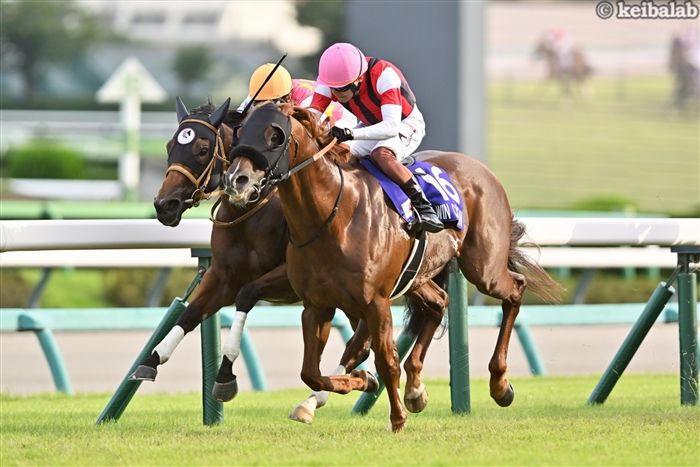 スプリンターズS】これぞ競馬の美しさ！ウインカーネリアン・三浦皇成