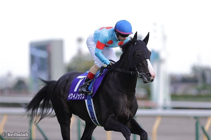 天皇賞・秋】まさかの勝率1割台！「イクイノックス連覇の可能性」に