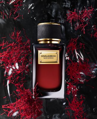 Dolce&Gabbana Velvet Zafferano Eau de Parfum, 3.3 oz. - Macy's