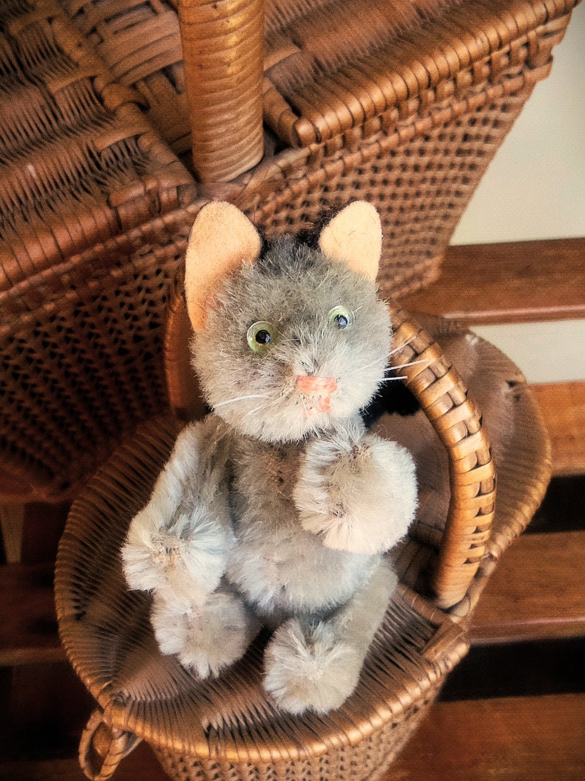 灰色猫 耳黒のグレーキャット シュコー社 ノアの箱舟シリーズ - SNAP