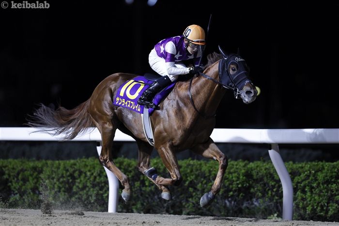 福島記念】令和のツインターボ登場！パンサラッサが超ハイペースで