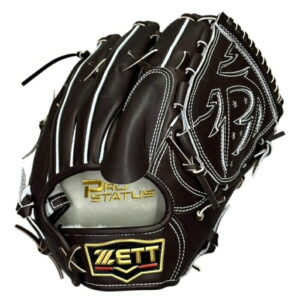 型付/グラブ/袋/刺繍無料】 ゼット(ZETT) プロステイタス 硬式オーダー