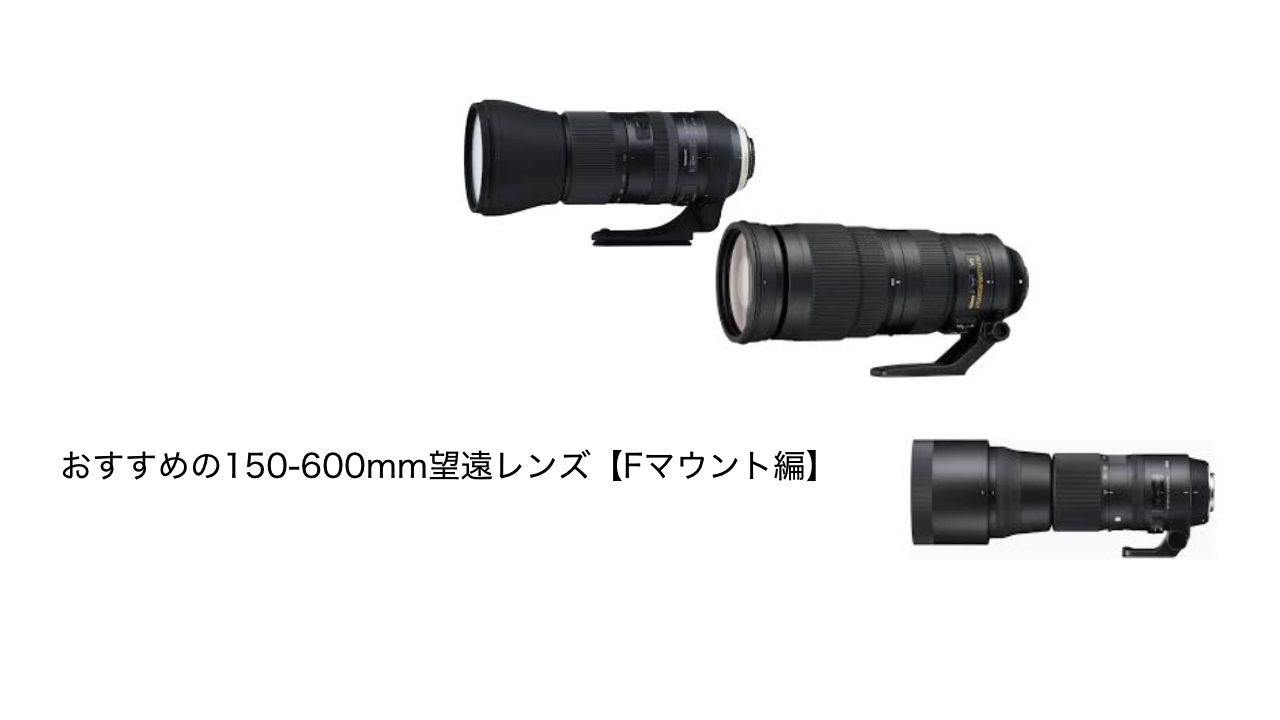 NIKKOR Z 180-600mmの代わりに？おすすめの150-600mm望遠レンズ【F