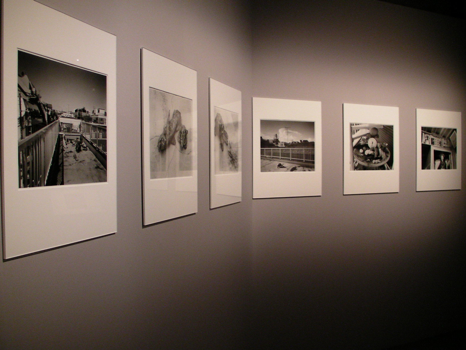 アラーキーが独自の死生観で生を激写する 『東京墓情 荒木経惟×ギメ