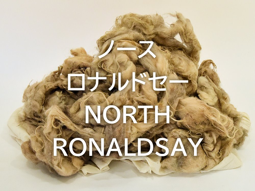 UK ノースロナルドセー – SPIN HOUSE PONTA.