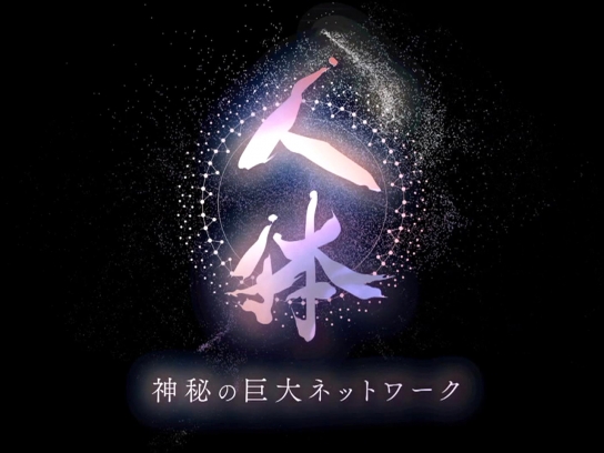 NHKスペシャル シリーズ 人体 神秘の巨大ネットワーク｜最新の映画