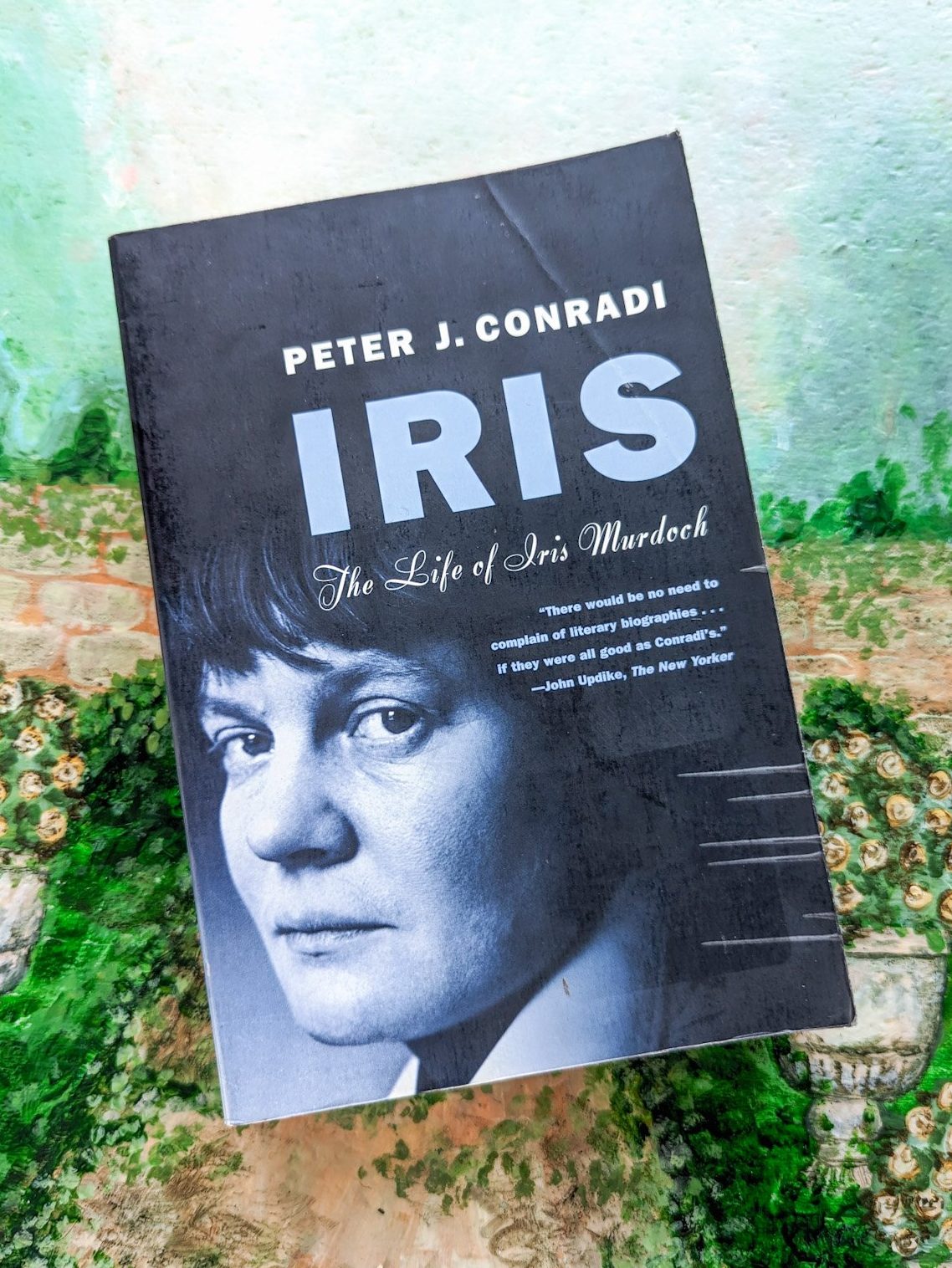 Iris: The Life of Iris Murdoch by Peter J Conradi • Sweet Sequels