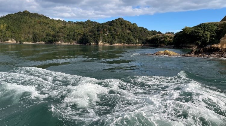 海賊3 | 翻訳ひといきコラム