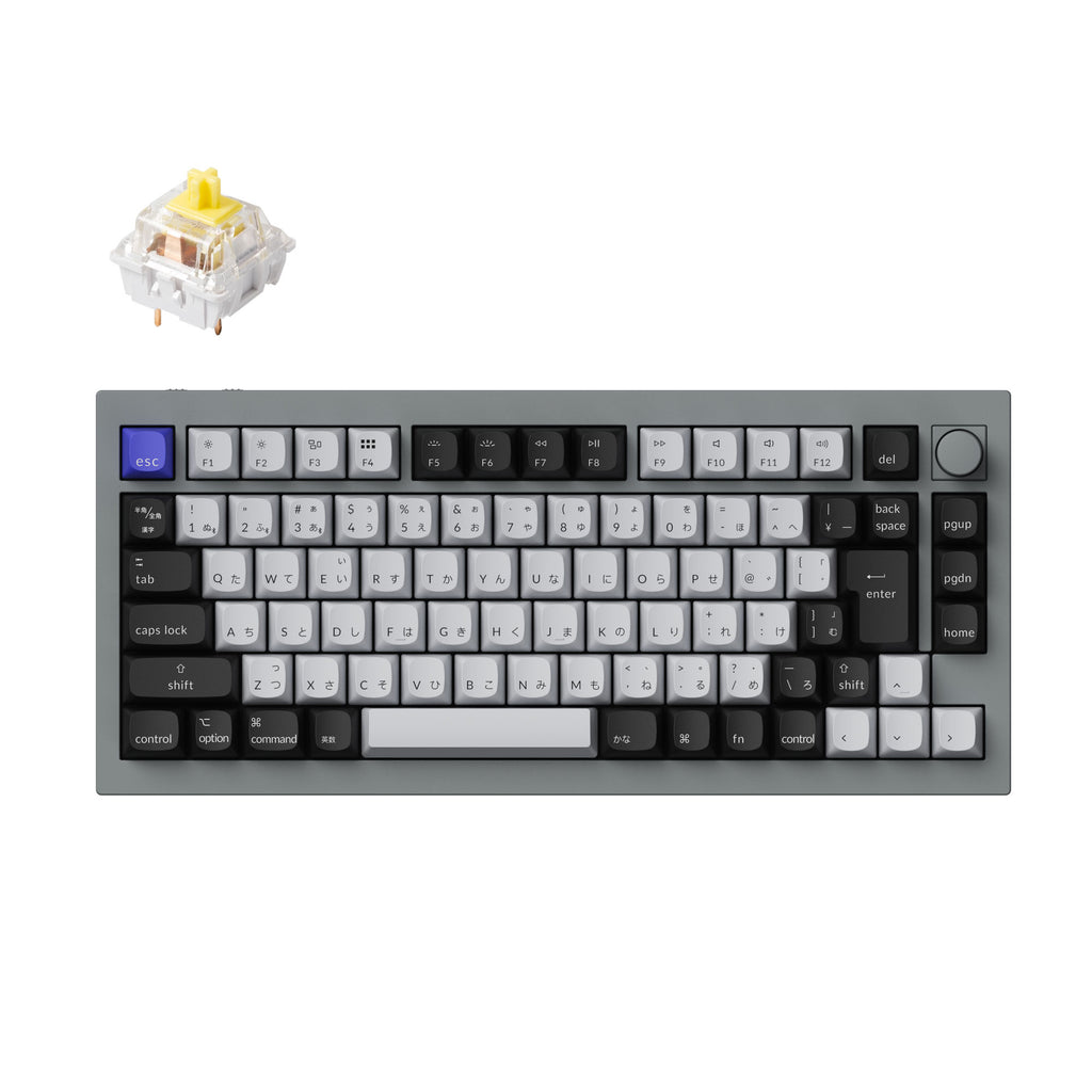 Q1P-N4-JIS_1024x1024.jpg?v=