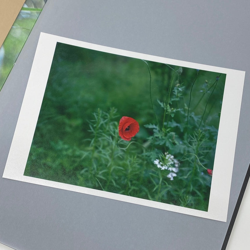 Étude Special Edition Risaku Suzuki (鈴木理策) – SUPER LABO