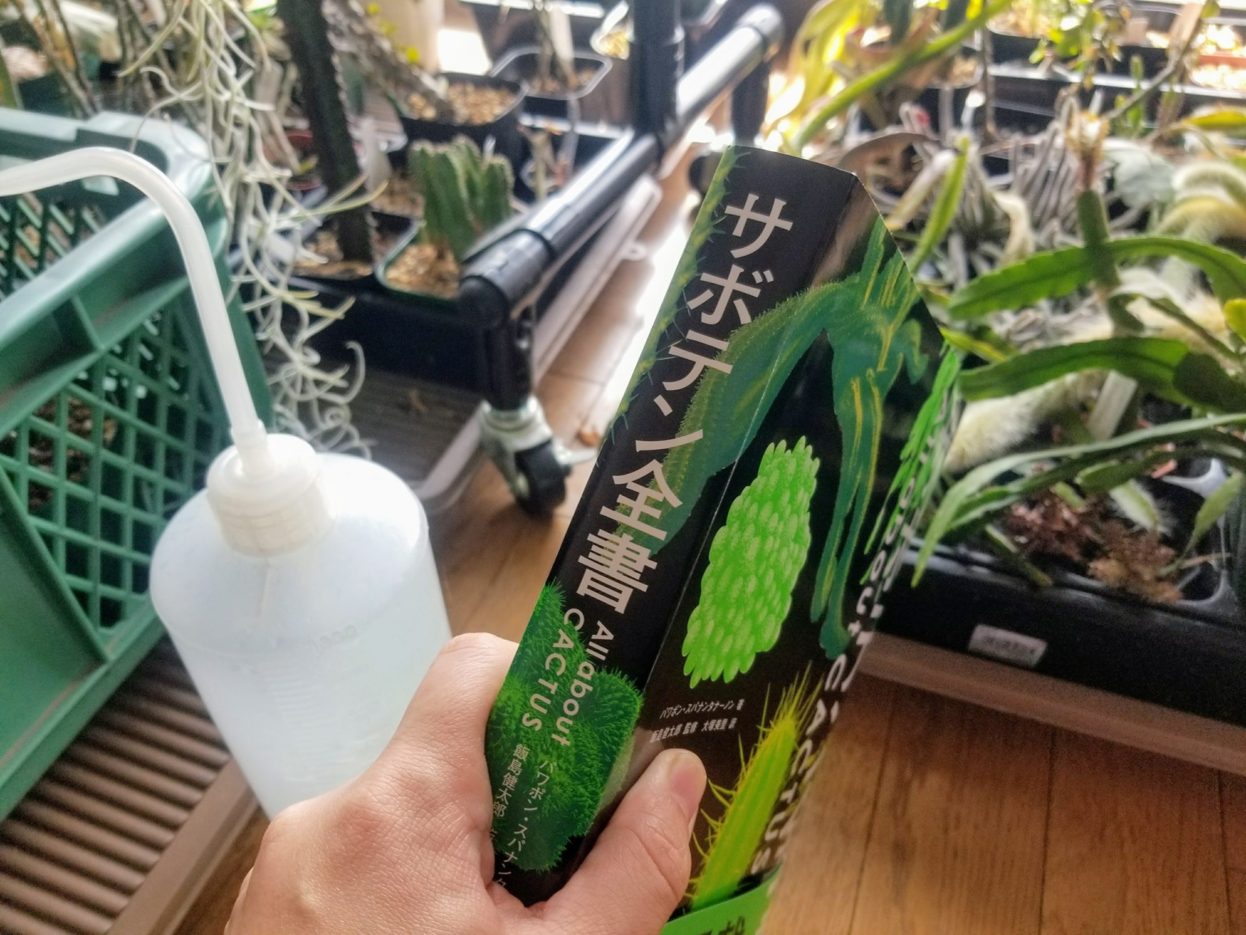 読んでおきたいサボテンの本「サボテン全書」 | スーパーサボテンタイム