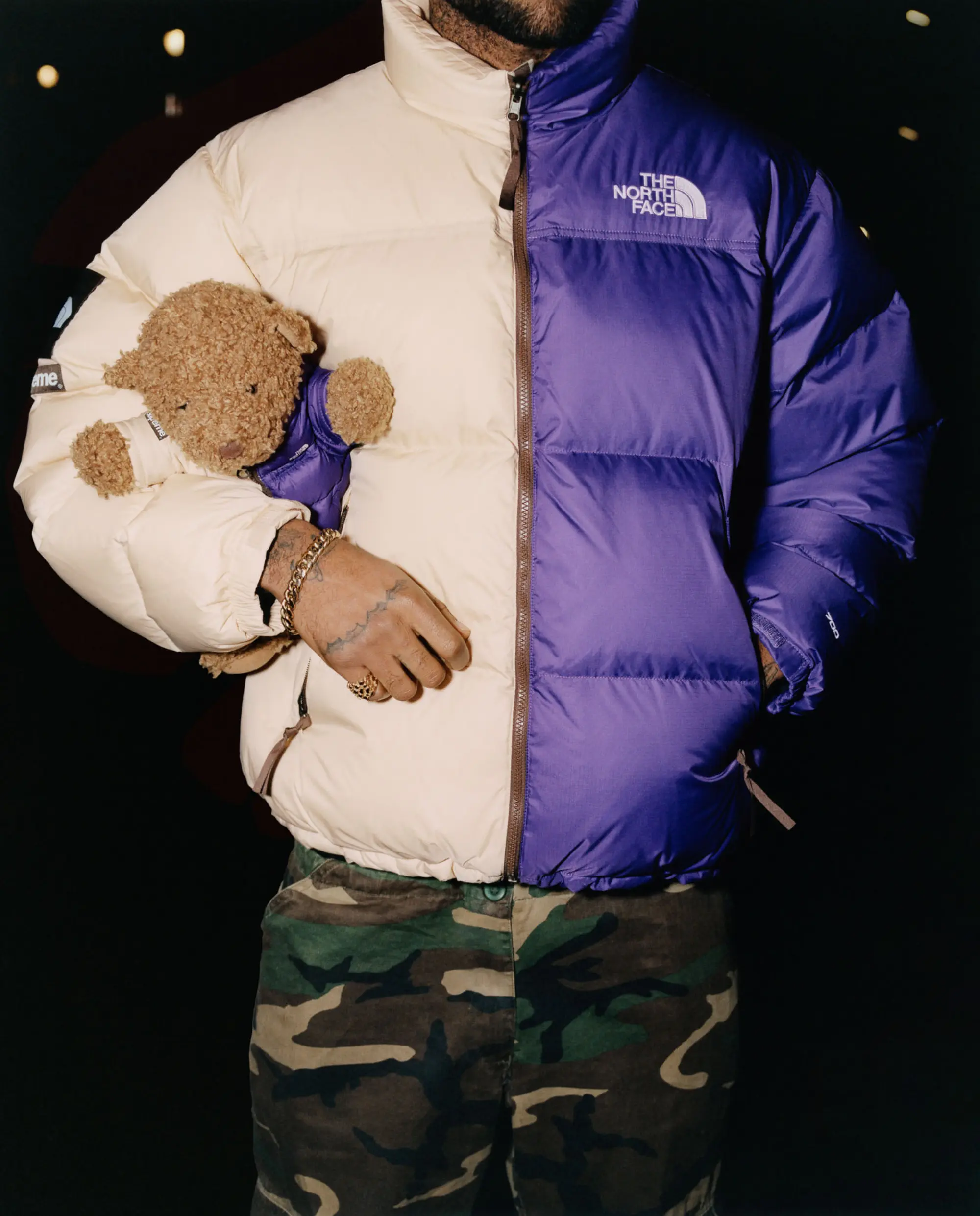 Supreme®/The North Face® Bear | Supreme 24ss