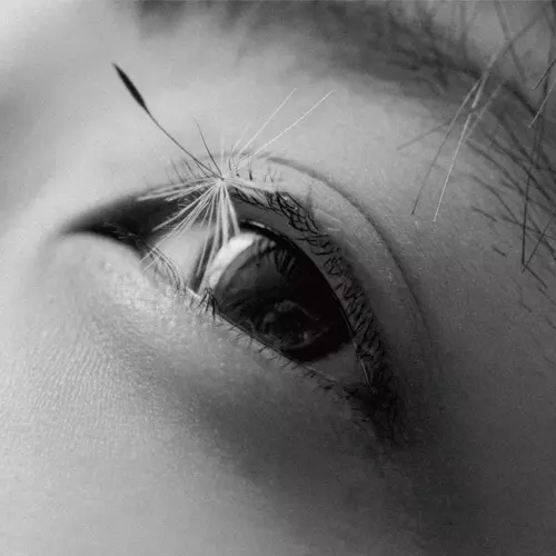 よすが(LP)/Kaneko Ayano/カネコアヤノ｜日本のロック｜ディスク