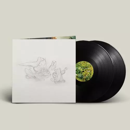 DRAGON NEW WARM MOUNTAIN I BELIEVE IN YOU(LP)/BIG THIEF/ビッグ