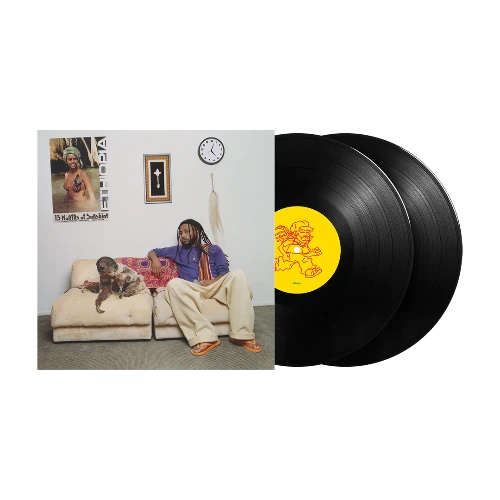 13 MONTHS OF SUNSHINE (2LP) (PURPLE VINYL)/Amine/Amineの最新作『13