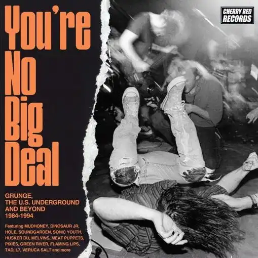 YOU'RE NO BIG DEAL - GRUNGE, THE U.S. UNDERGROUND AND BEYOND 1984