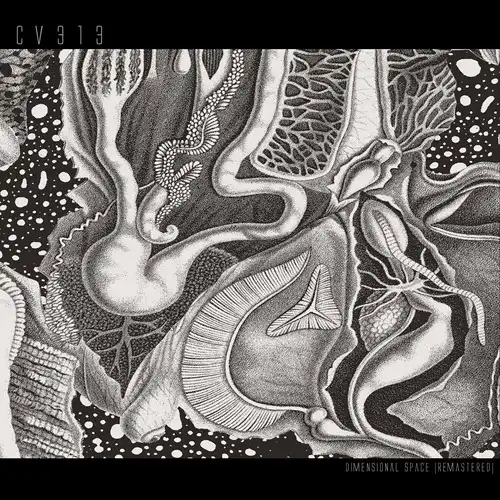 II (2LP)/VOICES FROM THE LAKE/ヴォイシズ・フロム・ザ・レイク