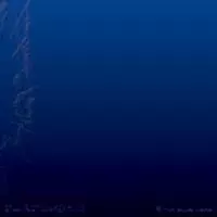 STILLING,STILL DREAMING -2ndプレス-/THA BLUE HERB｜HIPHOP/R&B