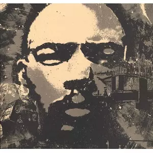 DEV LARGE aka D.L.商品一覧｜LATIN/BRAZIL/WORLD MUSIC｜ディスク