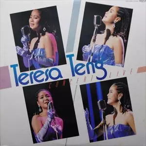 GREATEST HITS VOL.2/TERESA TENG/テレサ・テン(鄧麗君)｜昭和歌謡