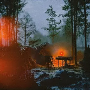 Songs for the Cryptids(LP)/Bialystocks/Bialystocksの3枚目の