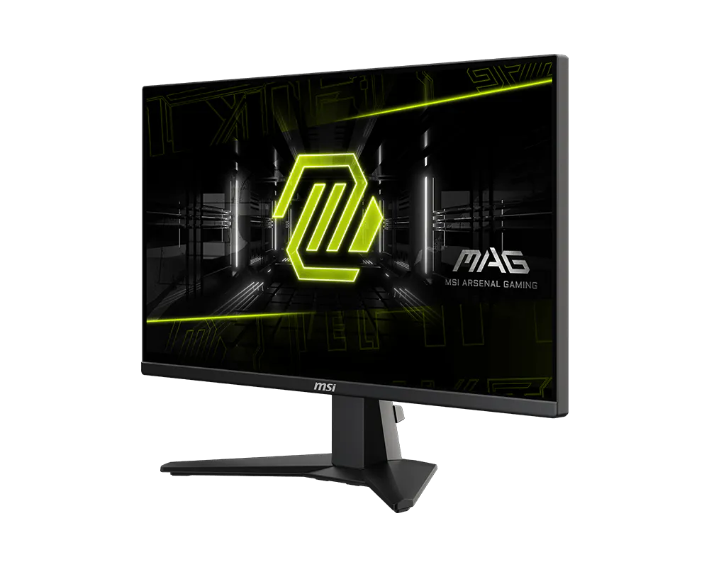 MSI MAG 255XFV