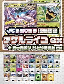 JCS2025優勝構築】タケルライコex【デッキ販売】 スリーブ付き 1枚の