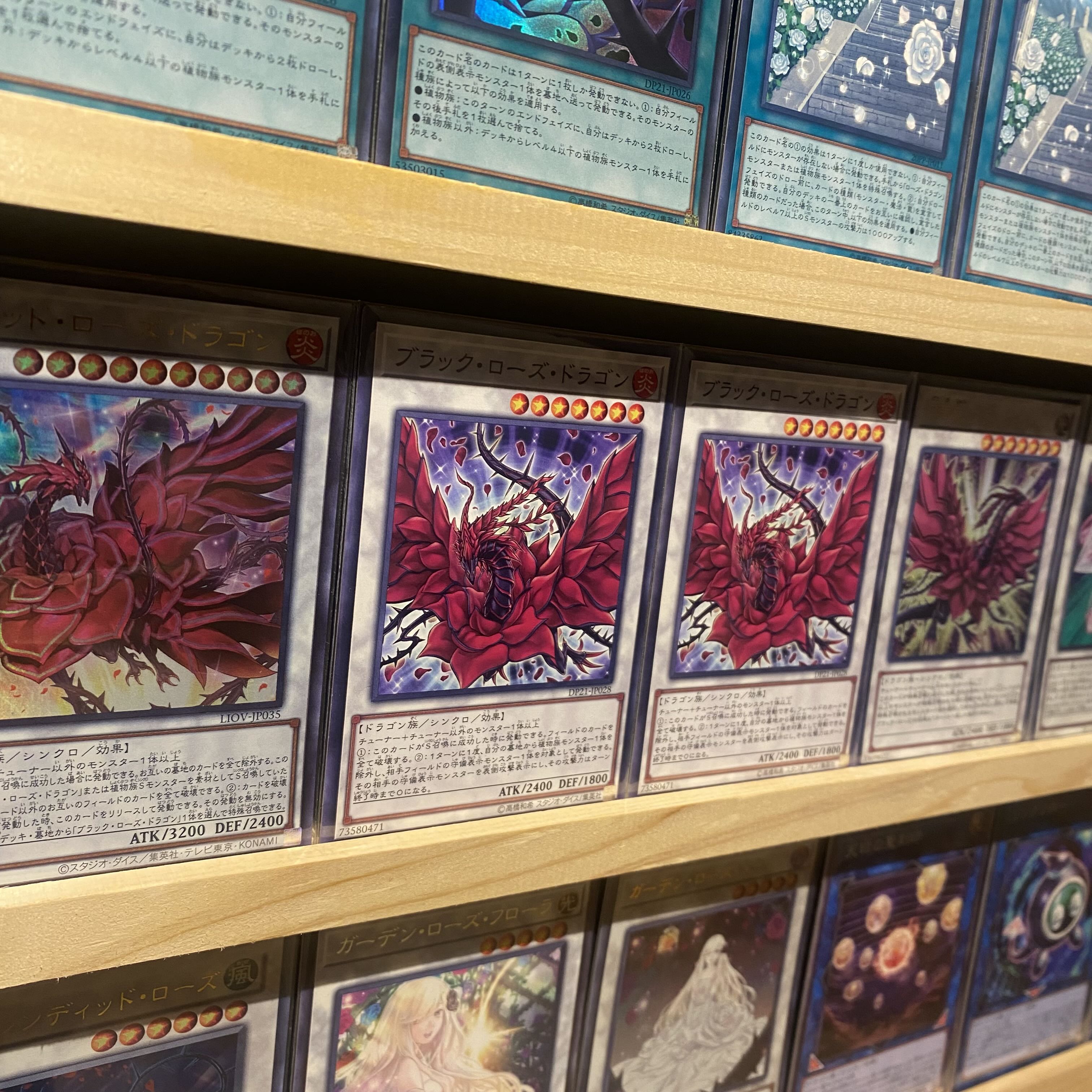 即日発送！【ローズドラゴン】デッキ 遊戯王 レッドローズ・ドラゴン