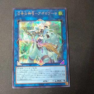 アポロウーサ」の激安通販 | magi