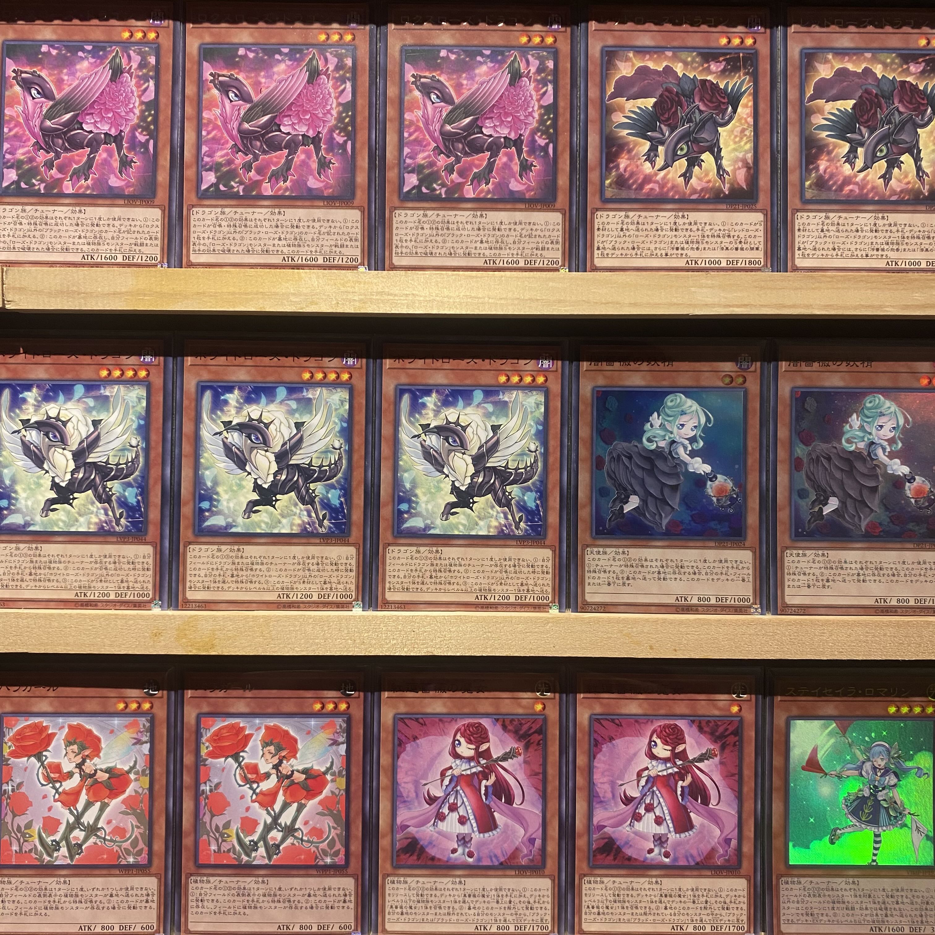 即日発送！【ローズドラゴン】デッキ 遊戯王 レッドローズ・ドラゴン